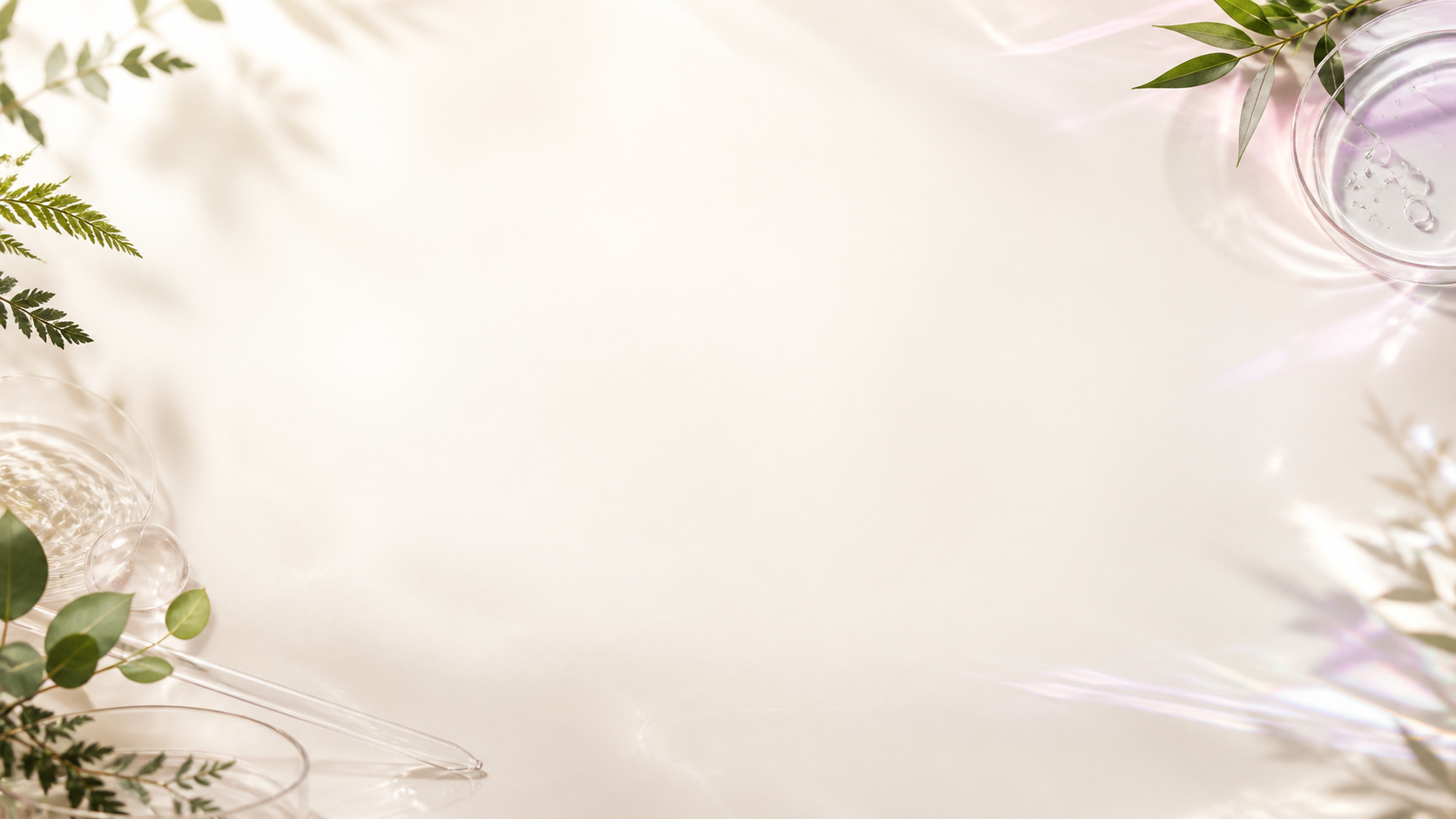 Timentall contact and official-channel background